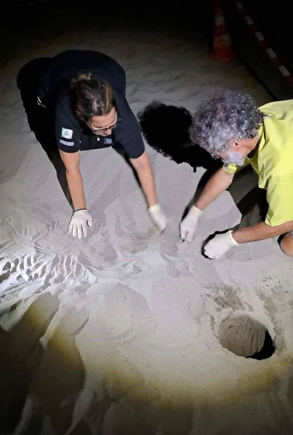 nido Forte dei Marmi 30 luglio 2023